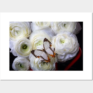 Exotic White Butterfly On With Ranunculus Flowers Posters and Art